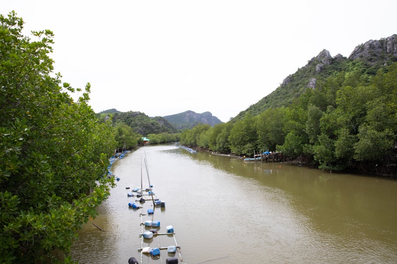 A serene river flows between lush green mangroves with small boats docked along the water's edge. Rolling hills covered in greenery provide a backdrop under a pale sky. The scene is calm and untouched by industrialization, evoking a sense of peaceful solitude.