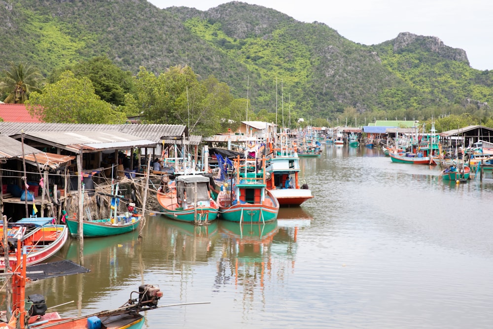 boats on water near houses and trees during daytime