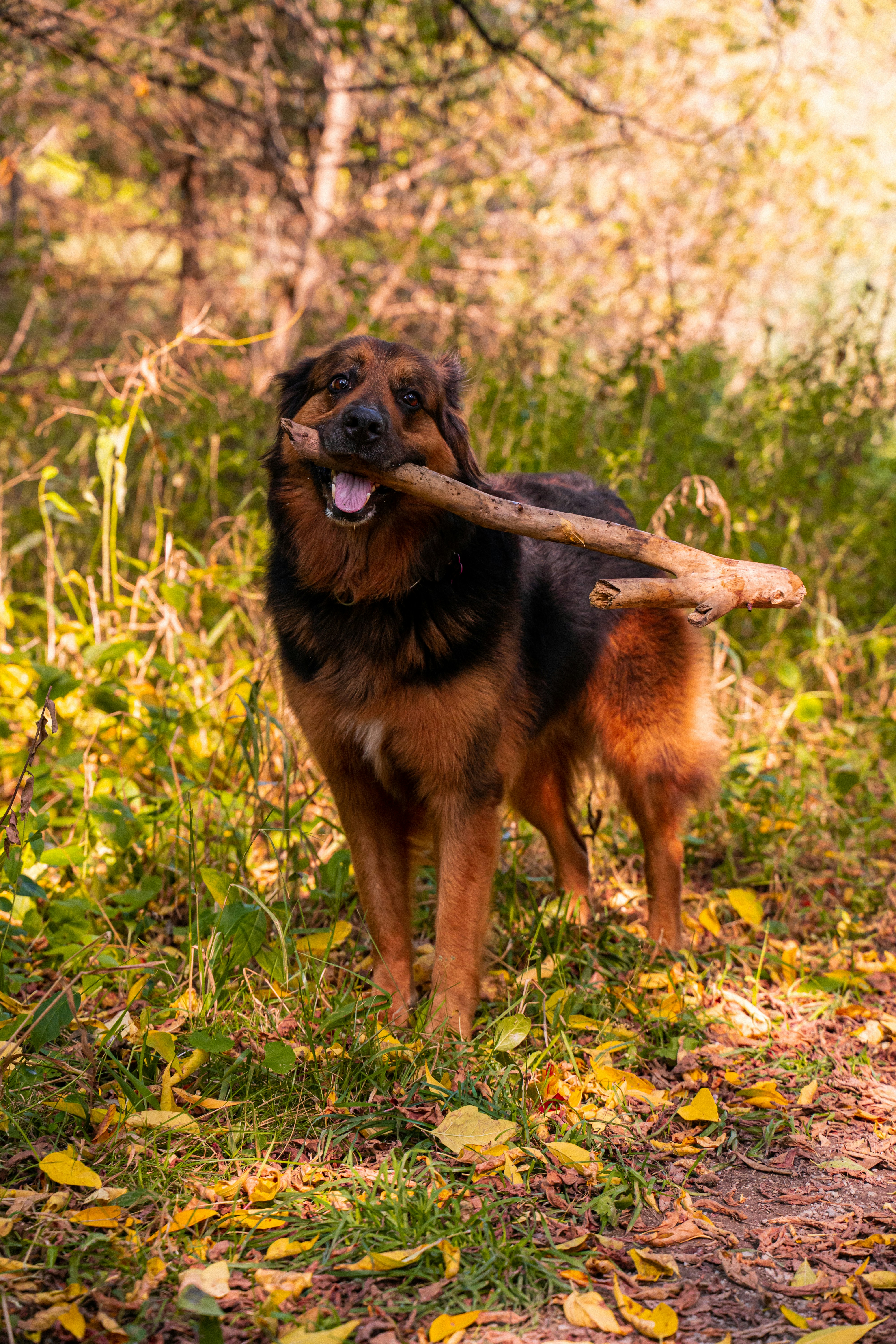 Photo by highermediaprod99