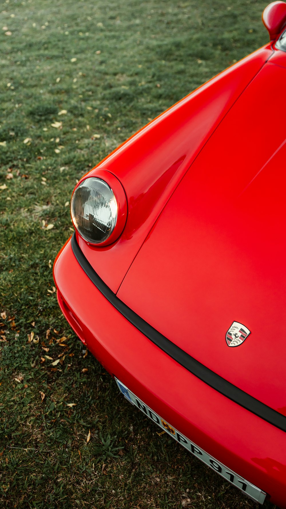 red car on green grass field during daytime