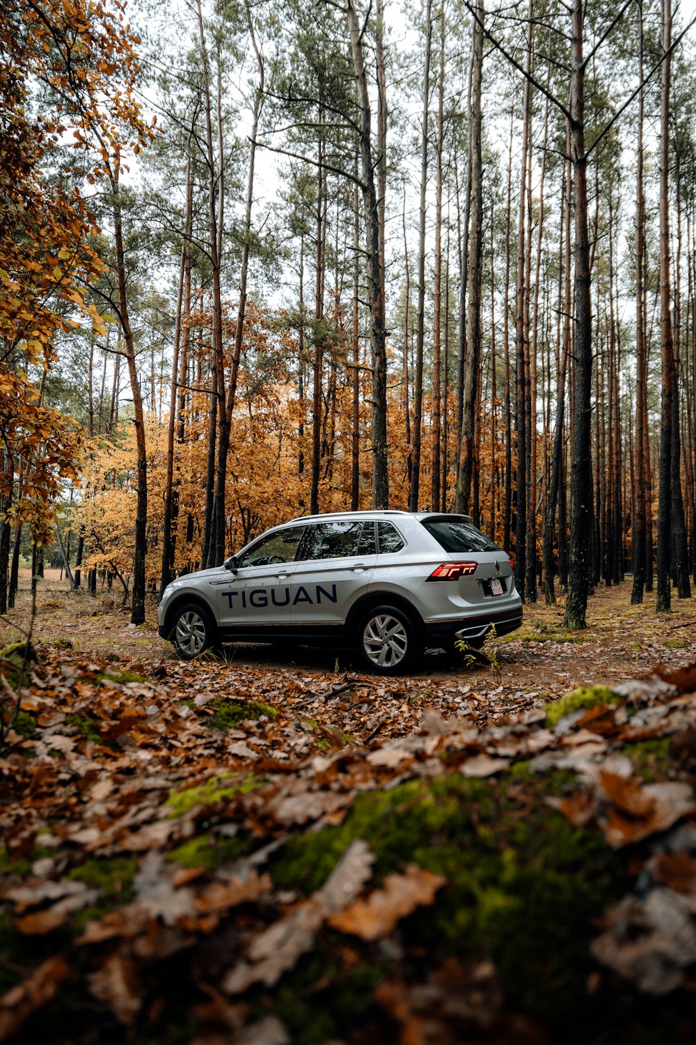 white mercedes benz suv in forest during daytime