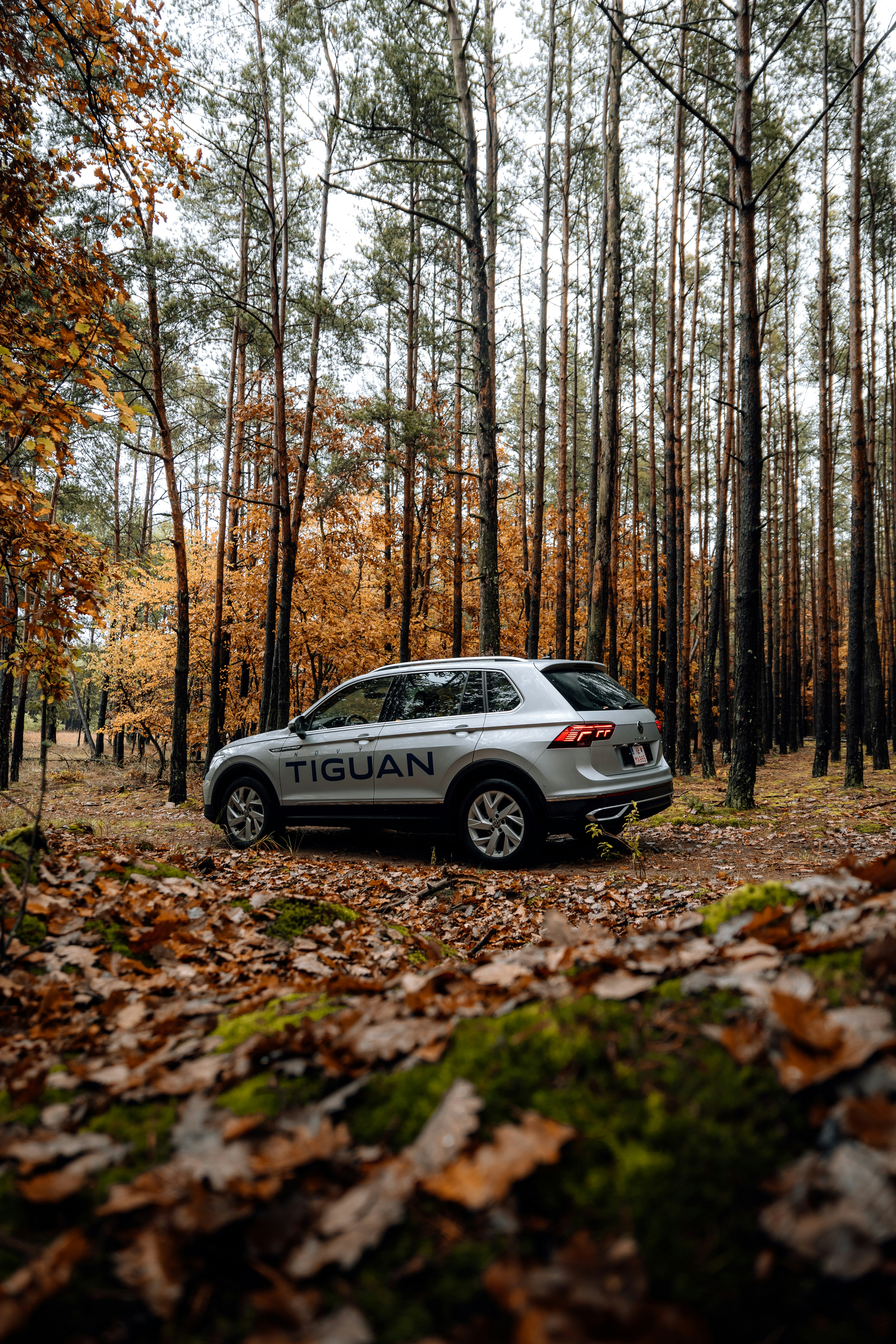 white mercedes benz suv in forest during daytime