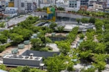 A rooftop garden featuring lush greenery with numerous trees and small glass structures. In the background, a cityscape with modern buildings and a curved structure with vibrant red, yellow, green, and blue panels can be seen.