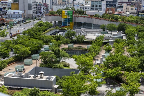 A rooftop garden featuring lush greenery with numerous trees and small glass structures. In the background, a cityscape with modern buildings and a curved structure with vibrant red, yellow, green, and blue panels can be seen.
