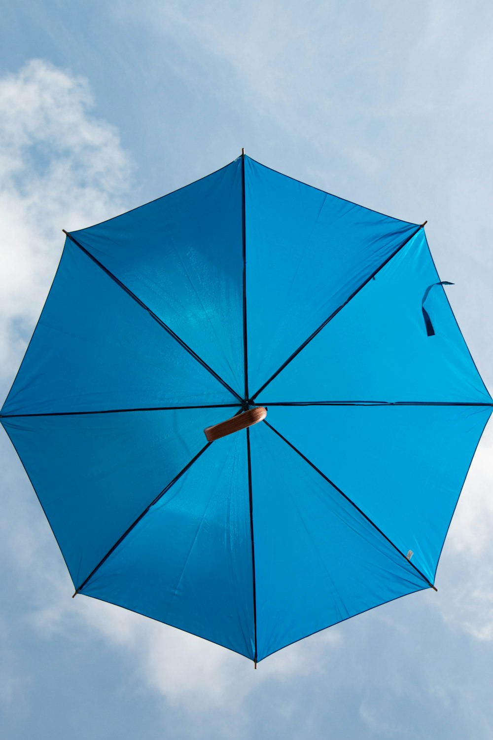 blue umbrella under white sky
