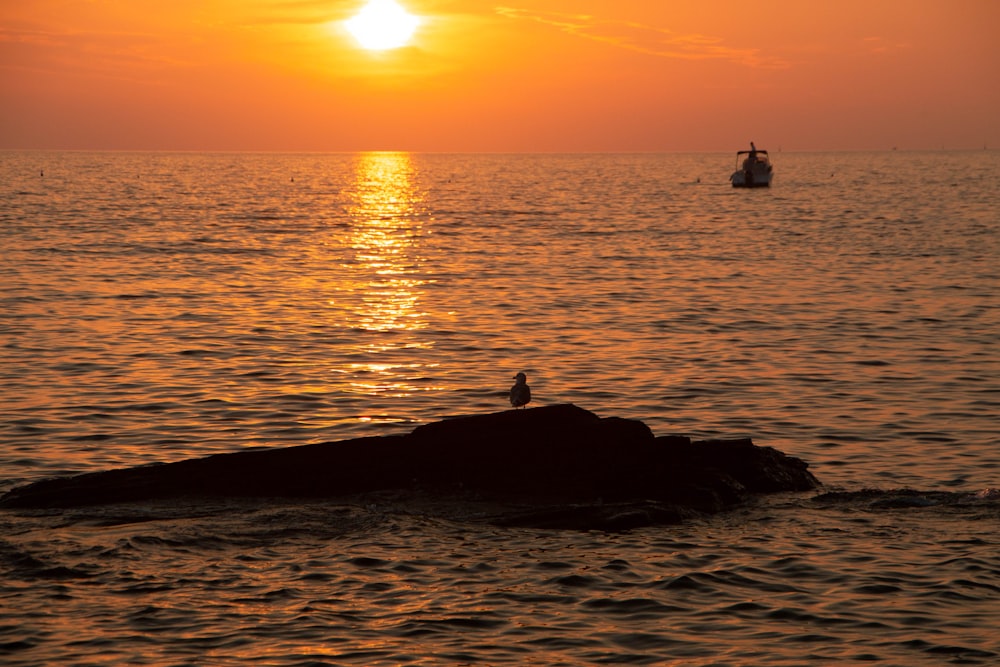 silhouette of people on rock formation near sea during sunset