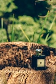 A black perfume bottle with a silver cap is placed on a textured tree stump surrounded by a natural setting. The background is blurred, showcasing green foliage, suggesting an outdoor environment.