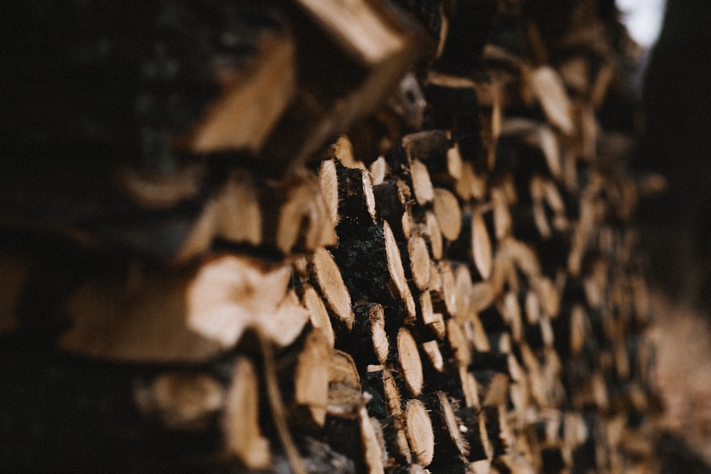 tronco di legno marrone e nero