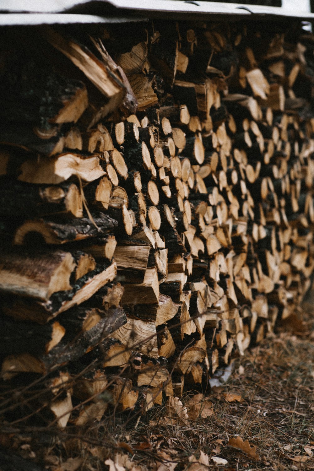 brown and black wood logs