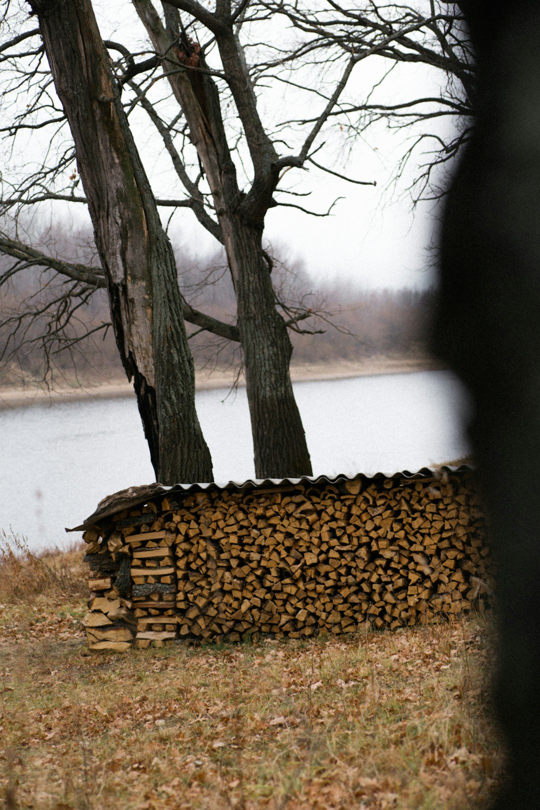 brown wooden house near body of water during daytime