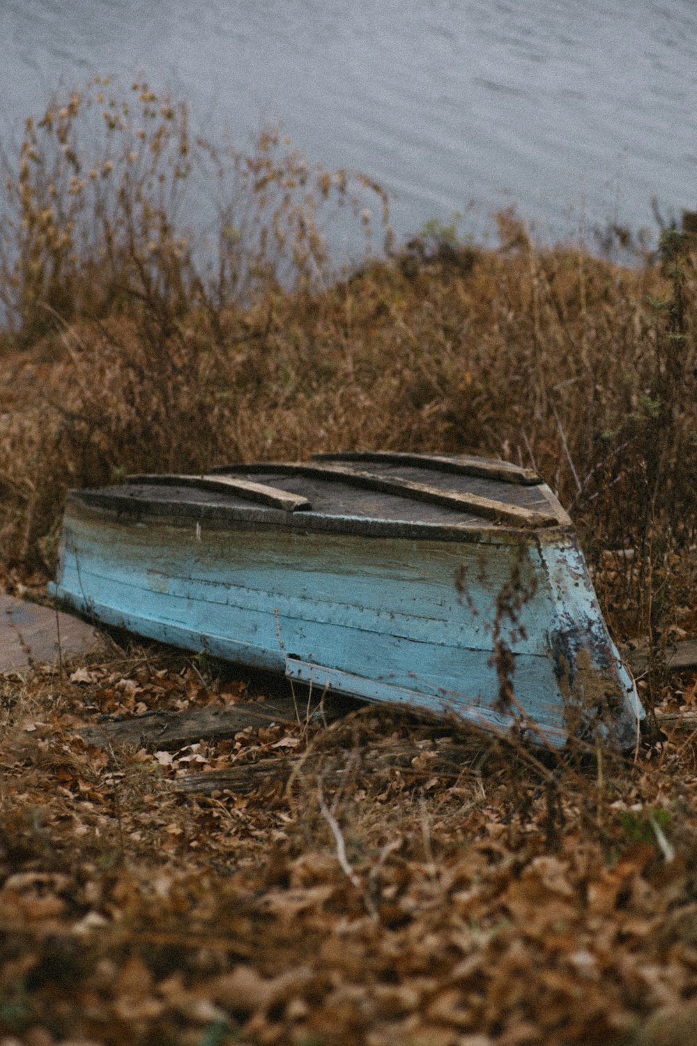 blue and white boat on brown dried leaves