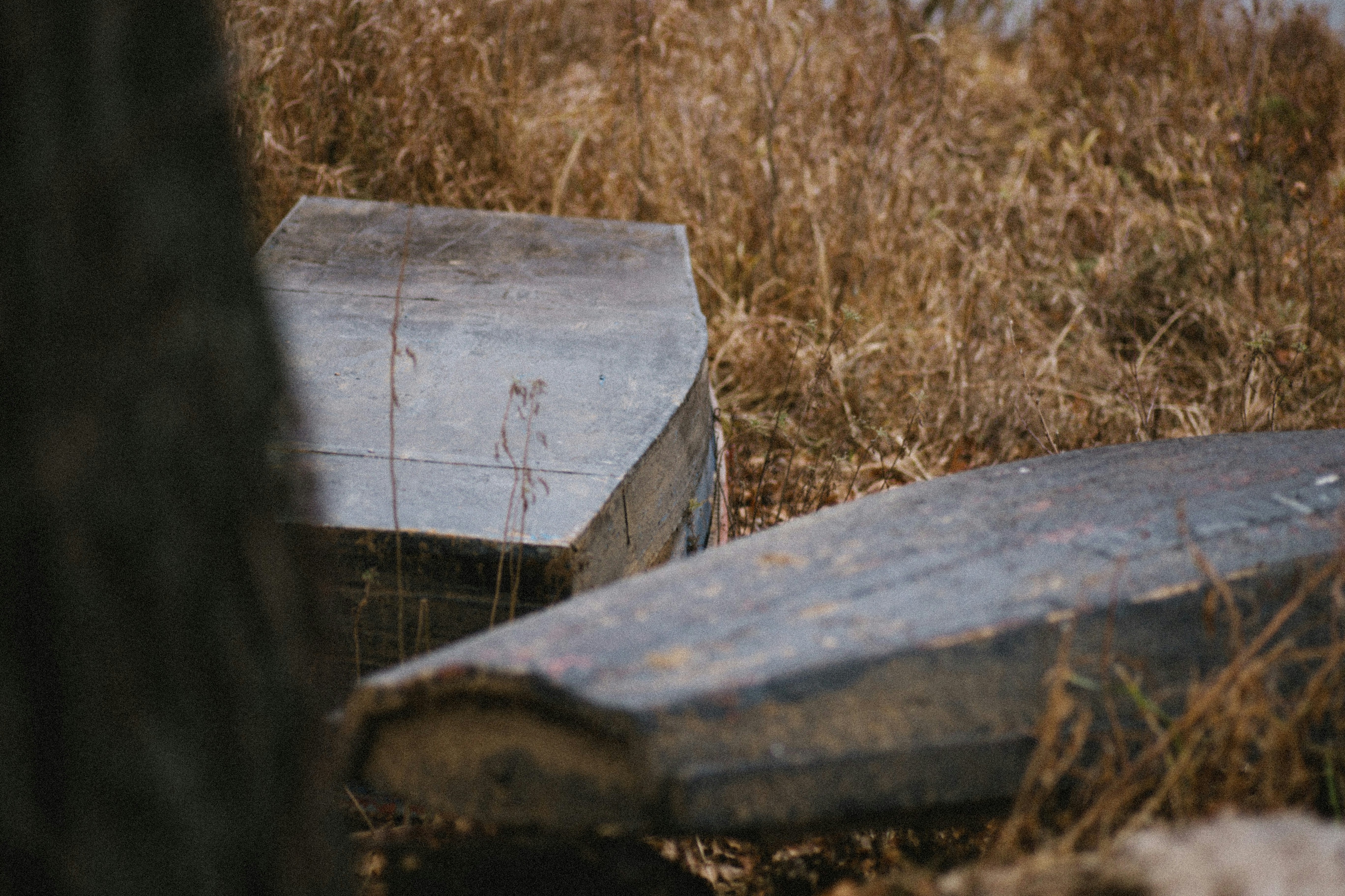 brown wooden plank on brown grass