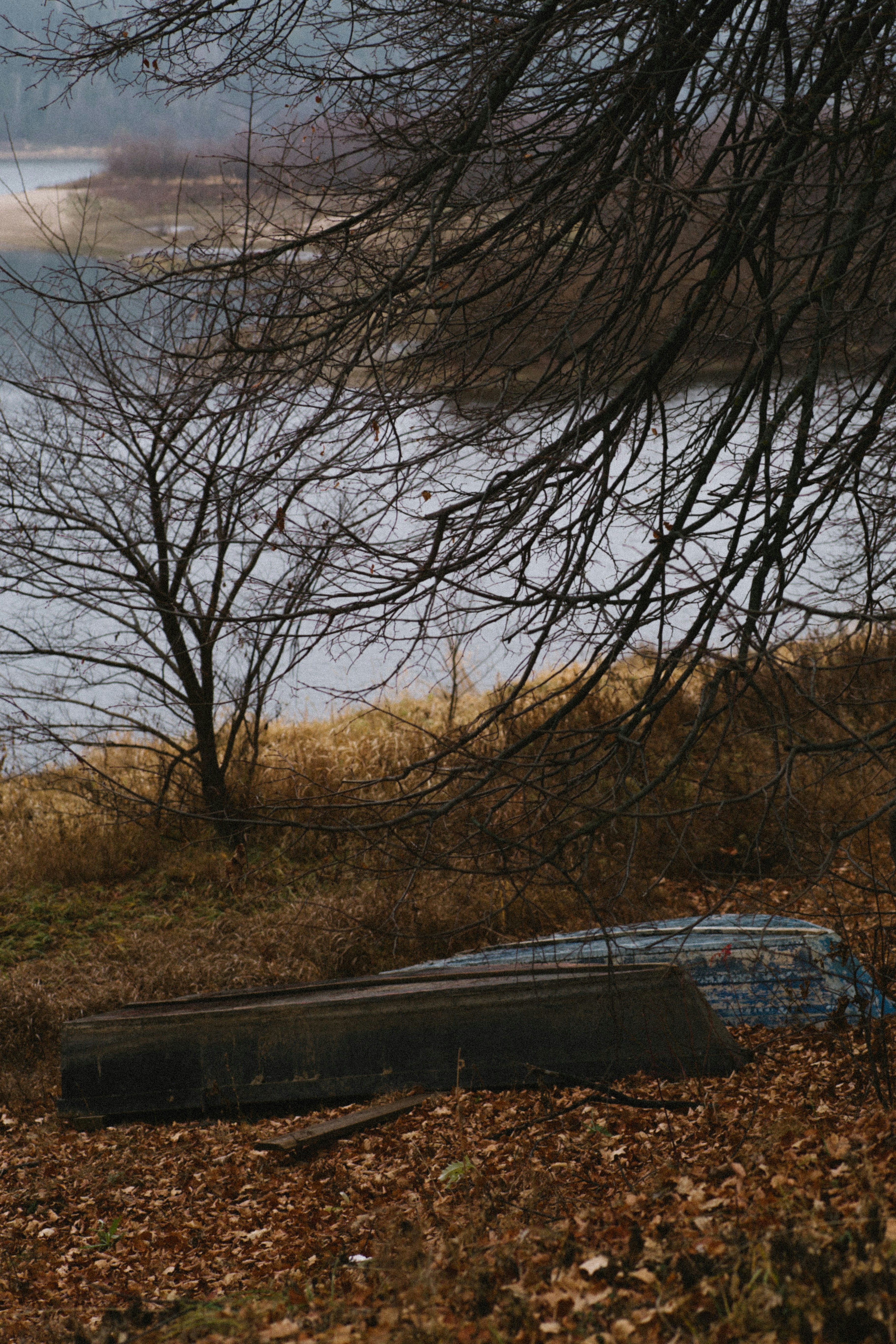 Photo by kkalerry