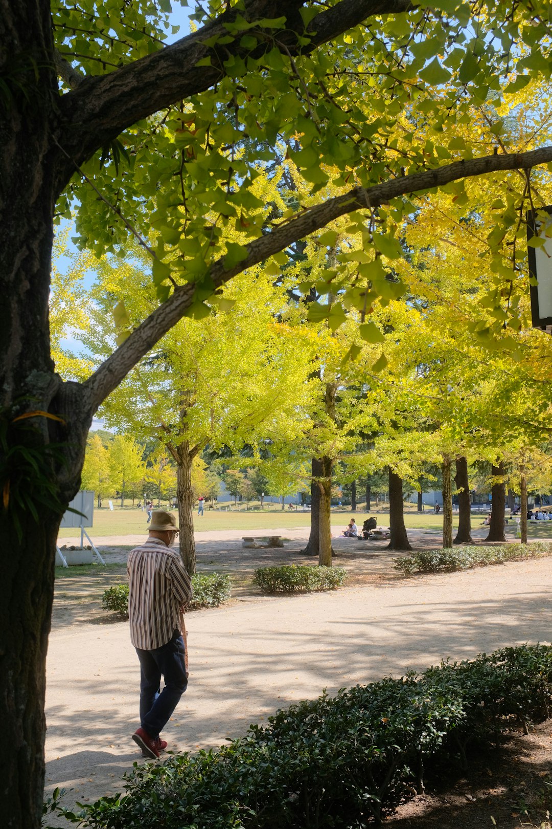 woman in white and black striped long sleeve shirt walking on sidewalk during daytime