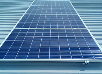 Technician installing a solar panel on a sunny rooftop with green trees in the background.