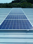 Solar panels installed on a sunny rooftop with green surroundings
