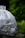 A large white bag labeled 'Organic Bags' is filled with various trash items, resting on the ground surrounded by lush green vegetation, creating a juxtaposition between nature and waste.