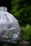 A large white bag labeled 'Organic Bags' is filled with various trash items, resting on the ground surrounded by lush green vegetation, creating a juxtaposition between nature and waste.