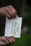 Hands holding a paper bag filled with fresh organic produce ready for delivery