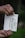 Two hands are holding a small white bag with green text that reads 'I am not plastic' and 'Organic Bags'. The background is blurred, showcasing a dark green hue, possibly indicating a natural setting.