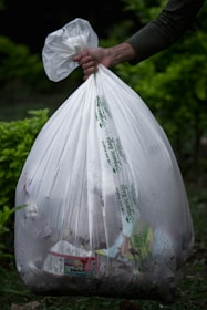 Hands holding a shopping bag filled with various items.