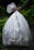 A hand holds a large white plastic garbage bag filled with various items, visible through the semi-transparent material. The bag features printed text indicating it is an organic bag. The background consists of a blurred, green, leafy environment, suggesting an outdoor setting.