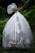 A hand holds a large white plastic garbage bag filled with various items, visible through the semi-transparent material. The bag features printed text indicating it is an organic bag. The background consists of a blurred, green, leafy environment, suggesting an outdoor setting.