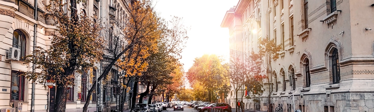 Kosten des Medizinstudiums, Medizin in Rumänien, Bukarest, Pharmazie in Rumänien