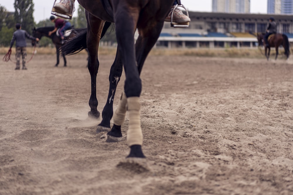 black horse running on brown sand during daytime