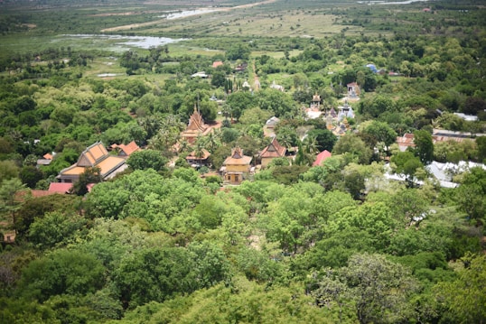 An expansive aerial view of a lush, green landscape with a collection of traditional architectural structures, including temples nestled among dense trees. The horizon shows a mix of fields and distant water bodies. The prominent presence of vegetation interspersed with colorful rooftops creates a harmonious blend with nature.