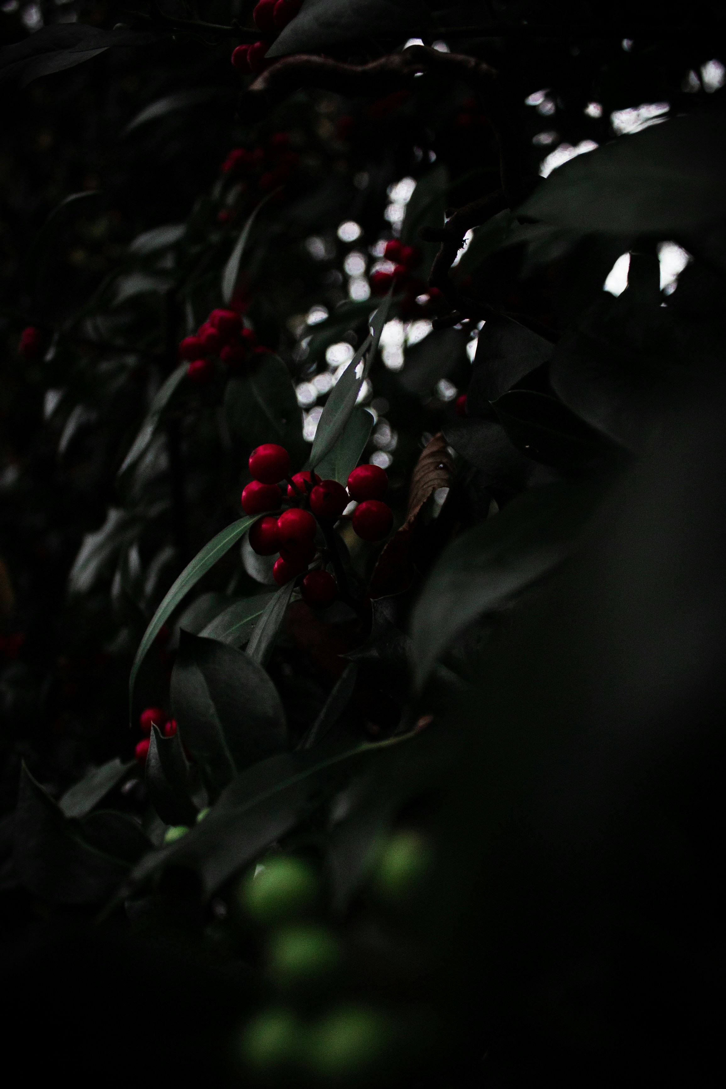 Photo by kajtek