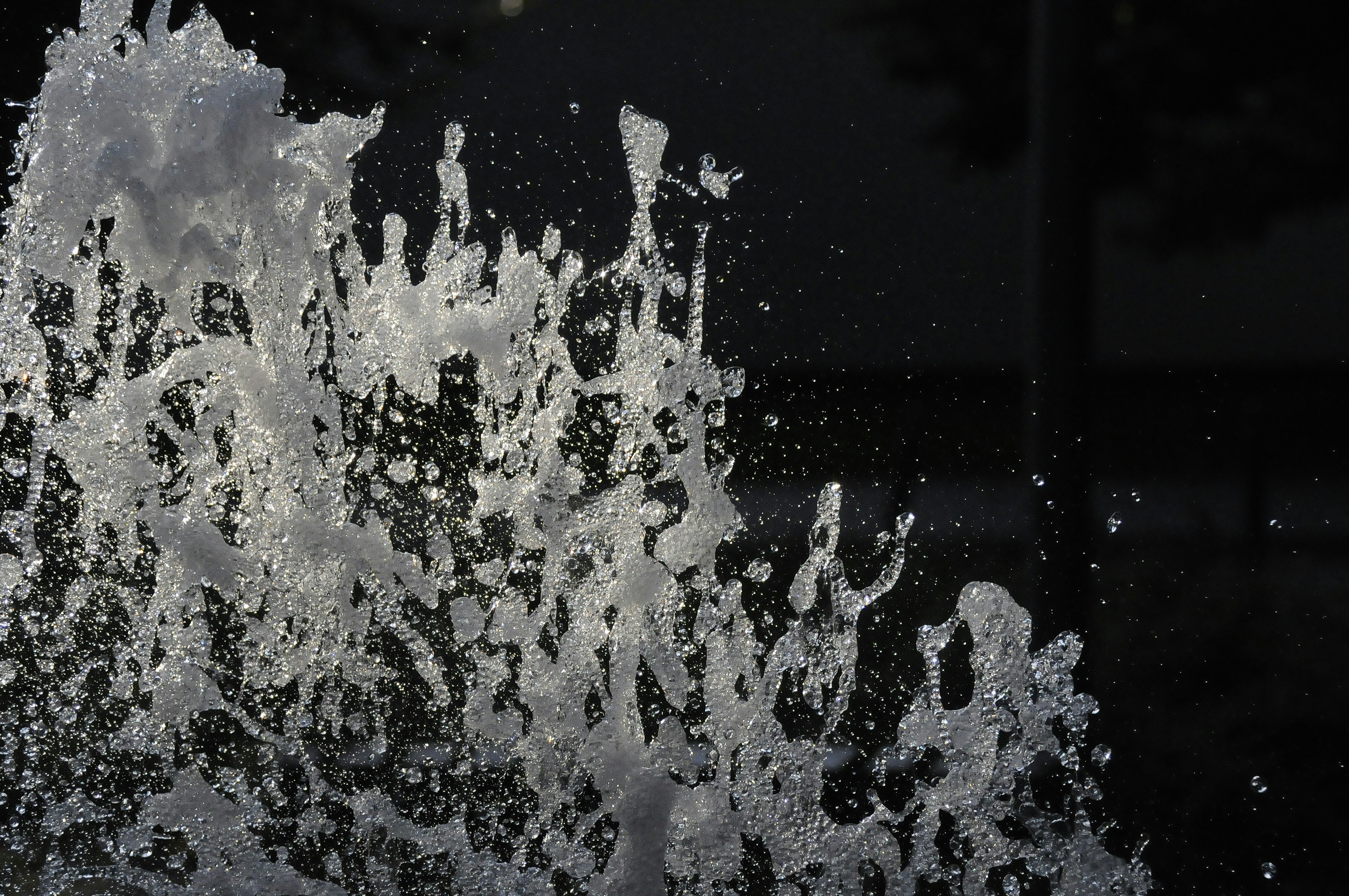 Photo by joanna_apanowicz