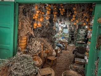 Cozy shop interior with wooden shelves filled with natural herbs, nuts, and essential oils in warm green tones.