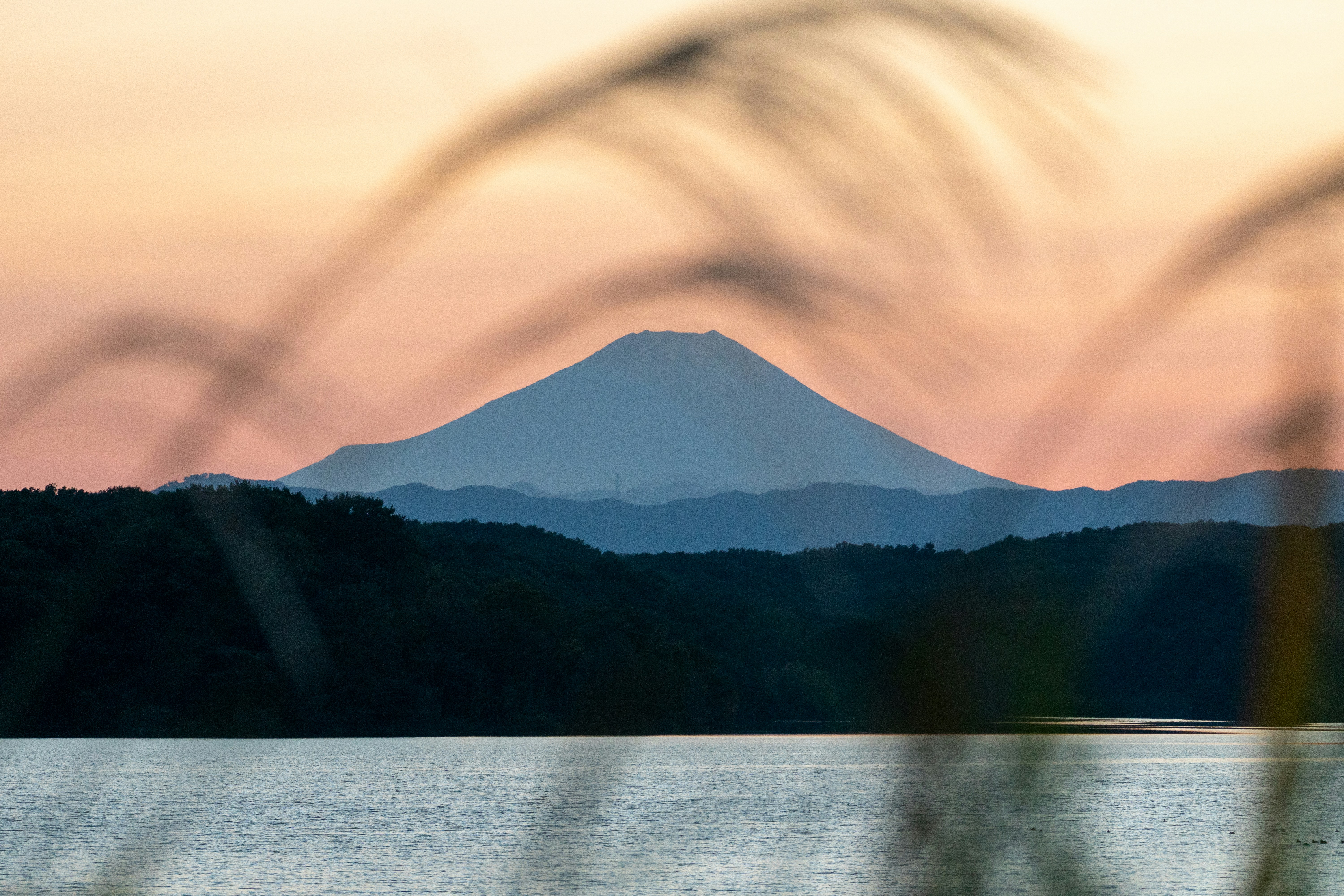 Photo by tan76