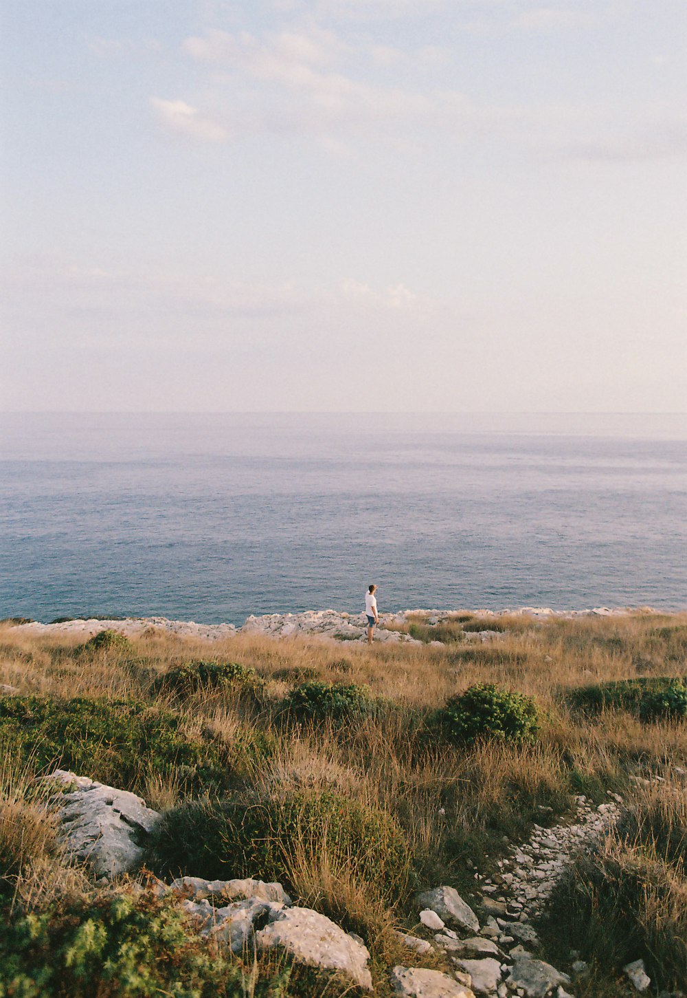 person standing on brown grass field near body of water during daytime