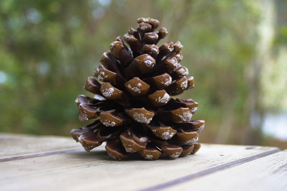 Pomme de pin brun sur table en bois blanc