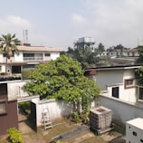A residential area featuring multiple buildings with flat roofs. A prominent green tree stands in the foreground, surrounded by walls. A ladder leans against a wall near a metal container, and a few palm trees can be observed in the background.