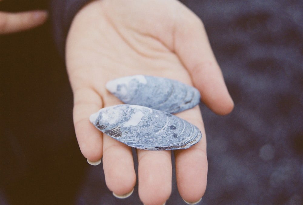 person holding silver and black stone