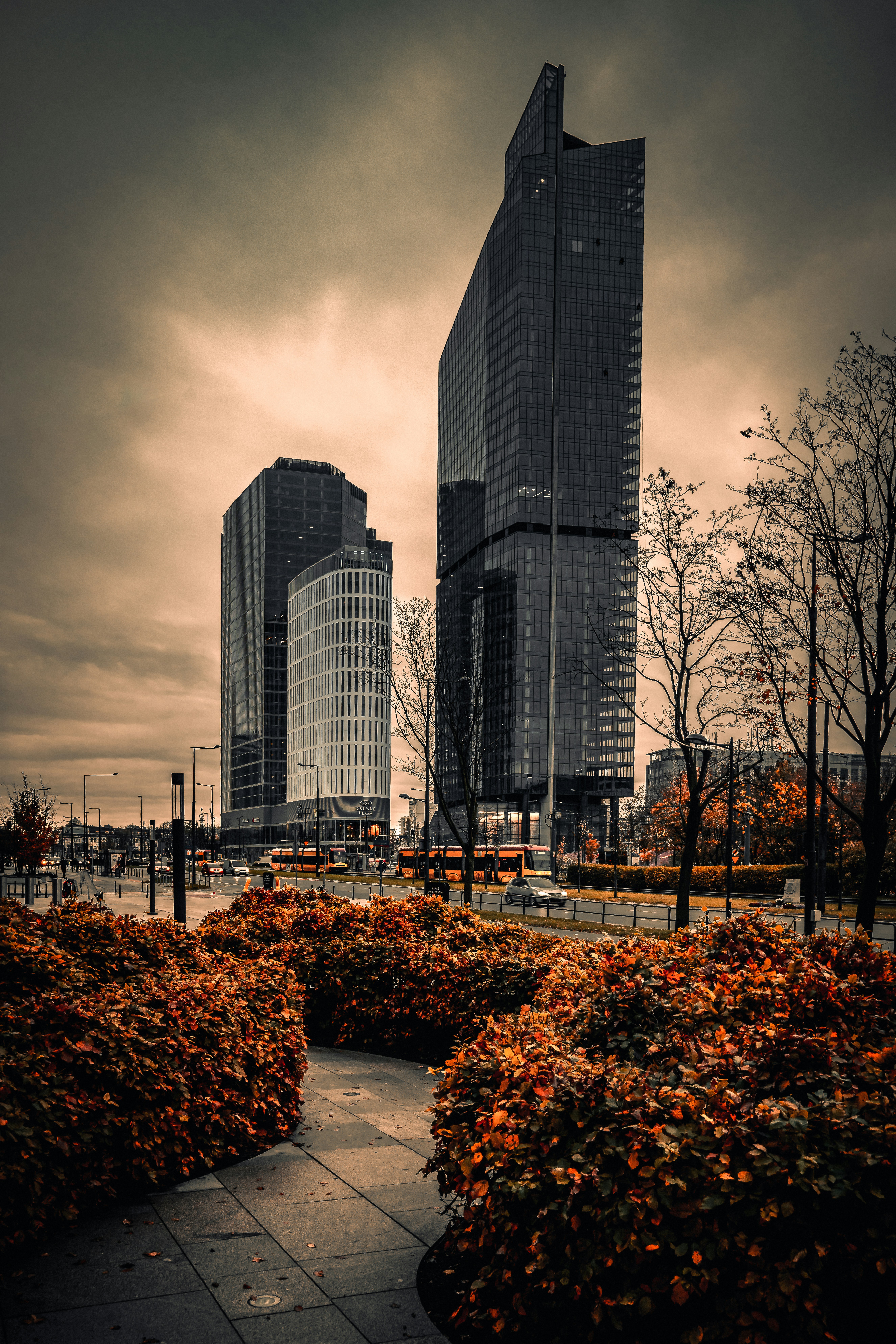 Photo by borkography