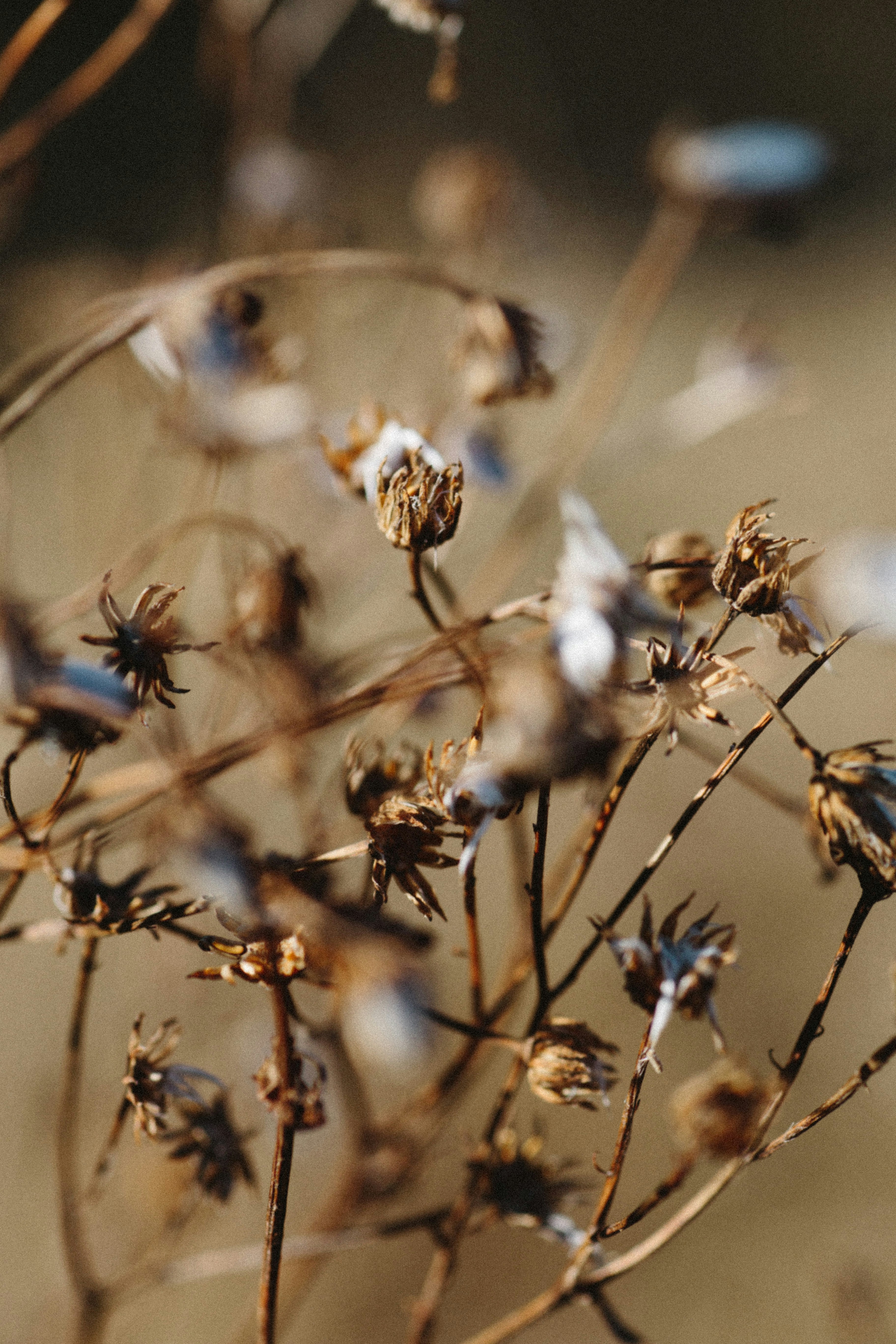 photo-1604572917075-f7d3f43fb68d?ixid=M3