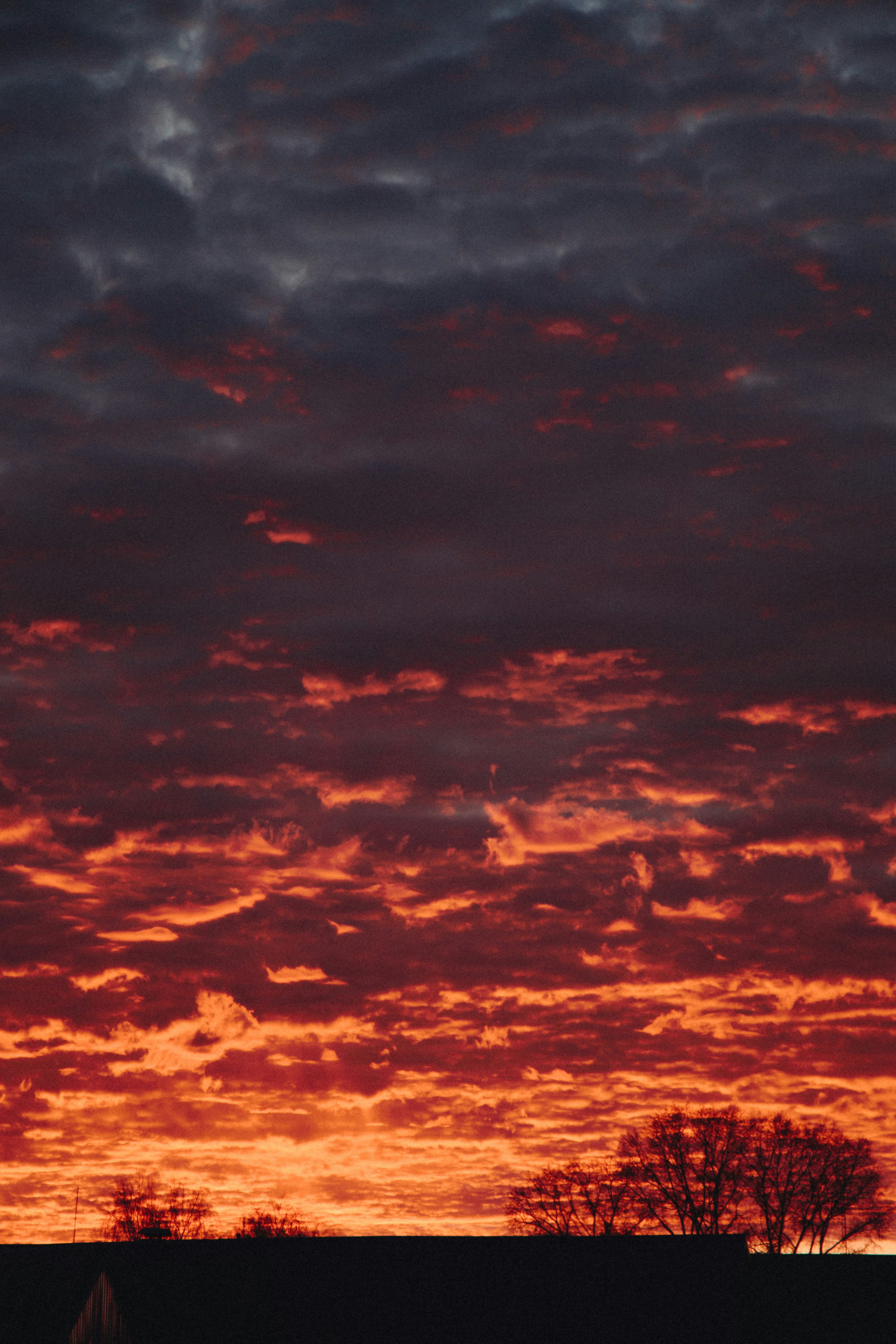 Welcome to the November 2025 edition of The Stoker