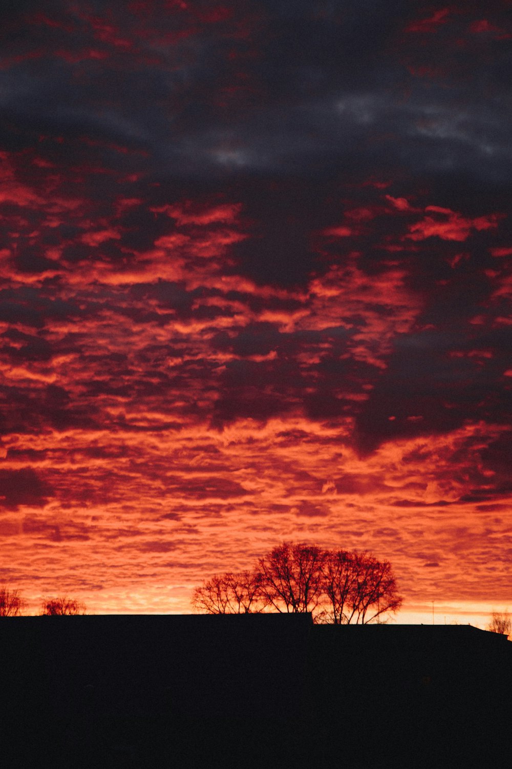 silhouette of trees under cloudy sky during sunset