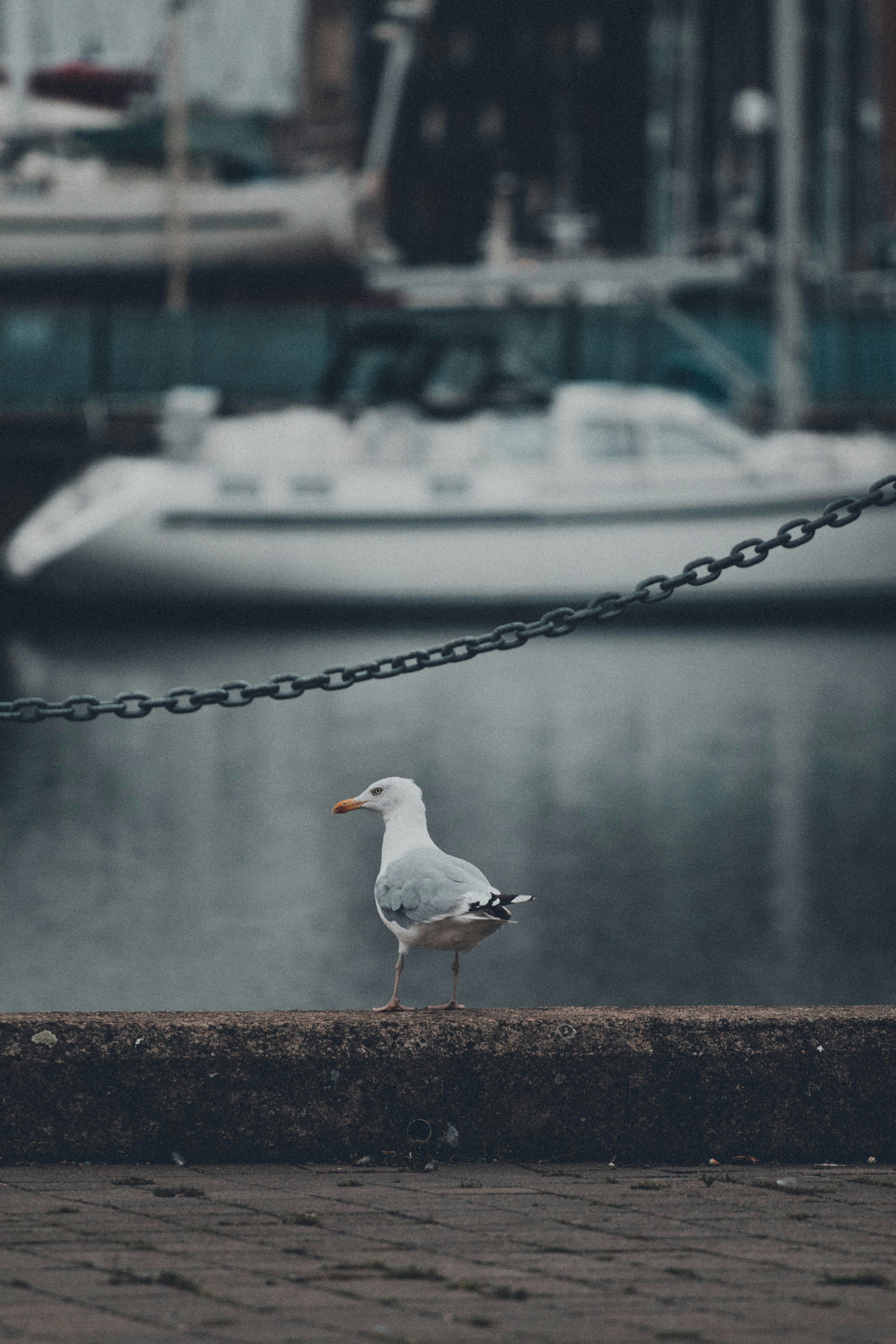 Photo by superstraho