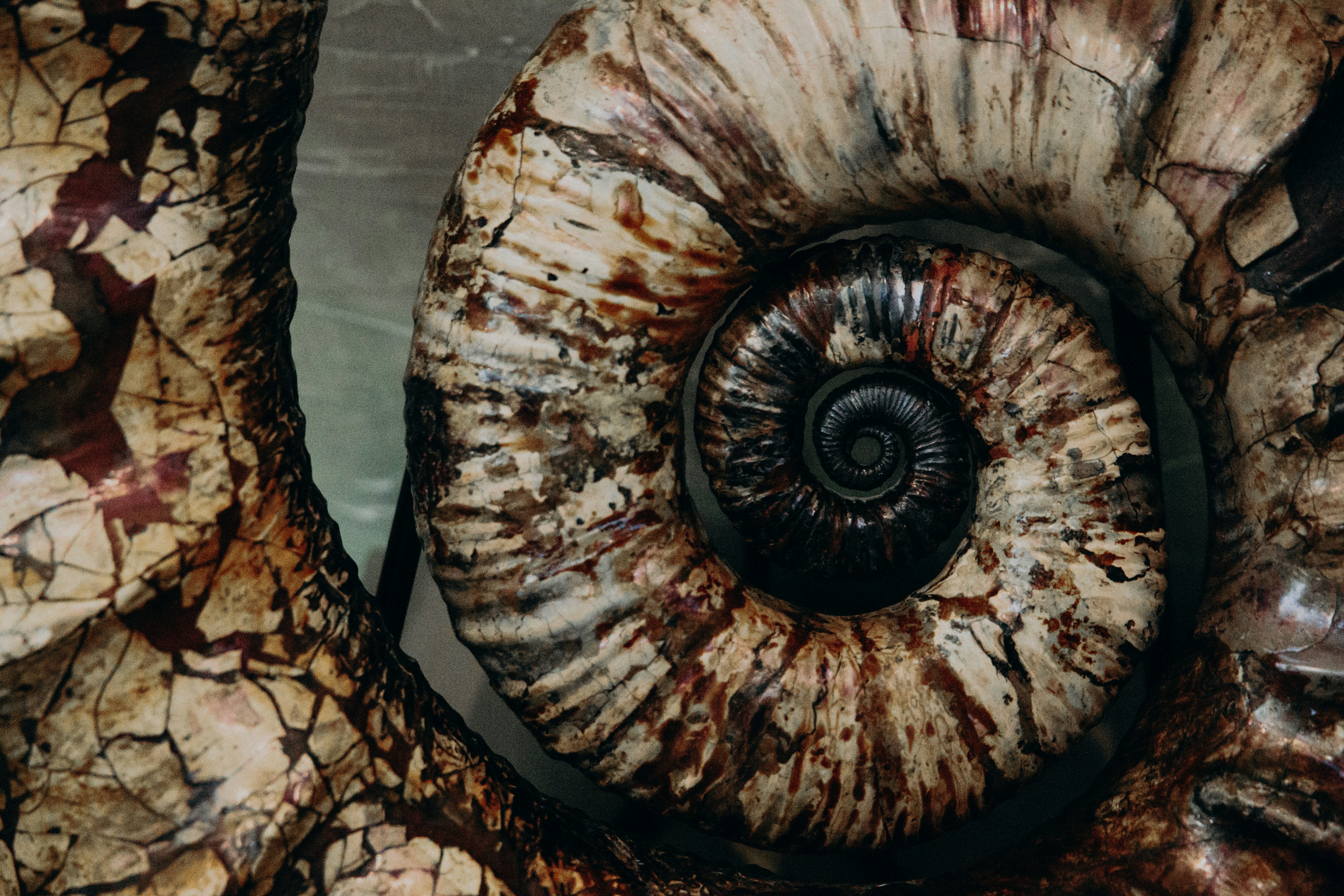 brown and white round stone, 