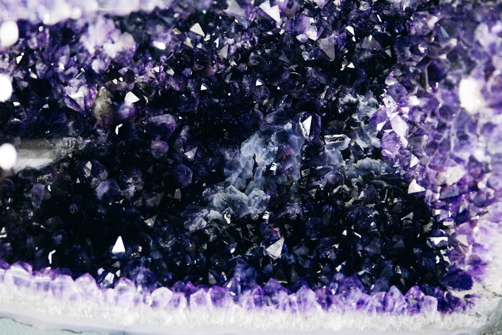 purple and white flower field during daytime