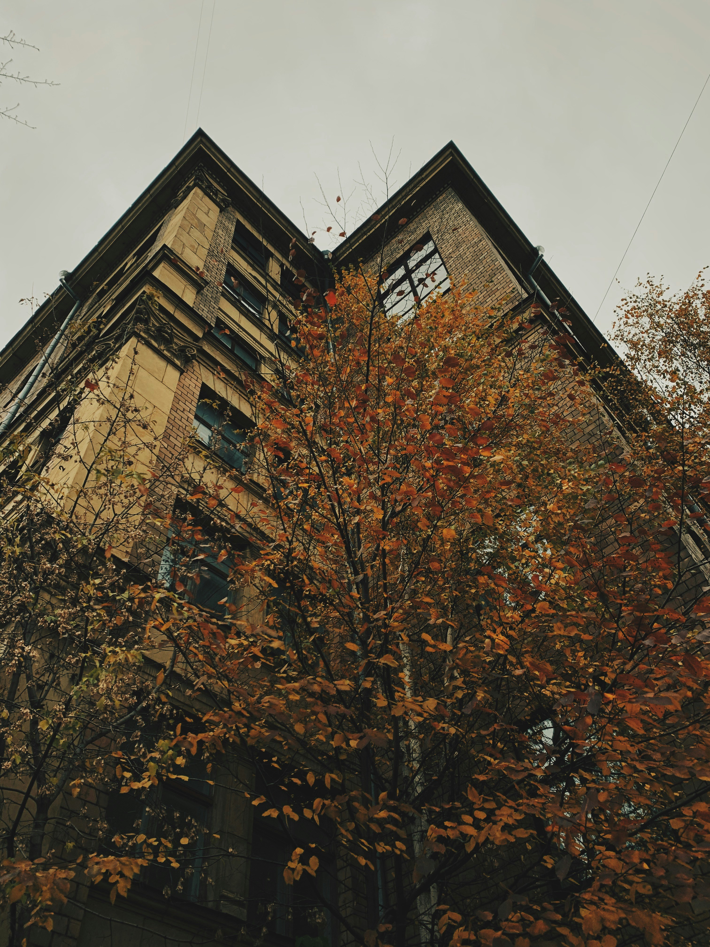 6 Yaşındaki Morgan Nick'in Kaybolmasının 30 Yıldönümü