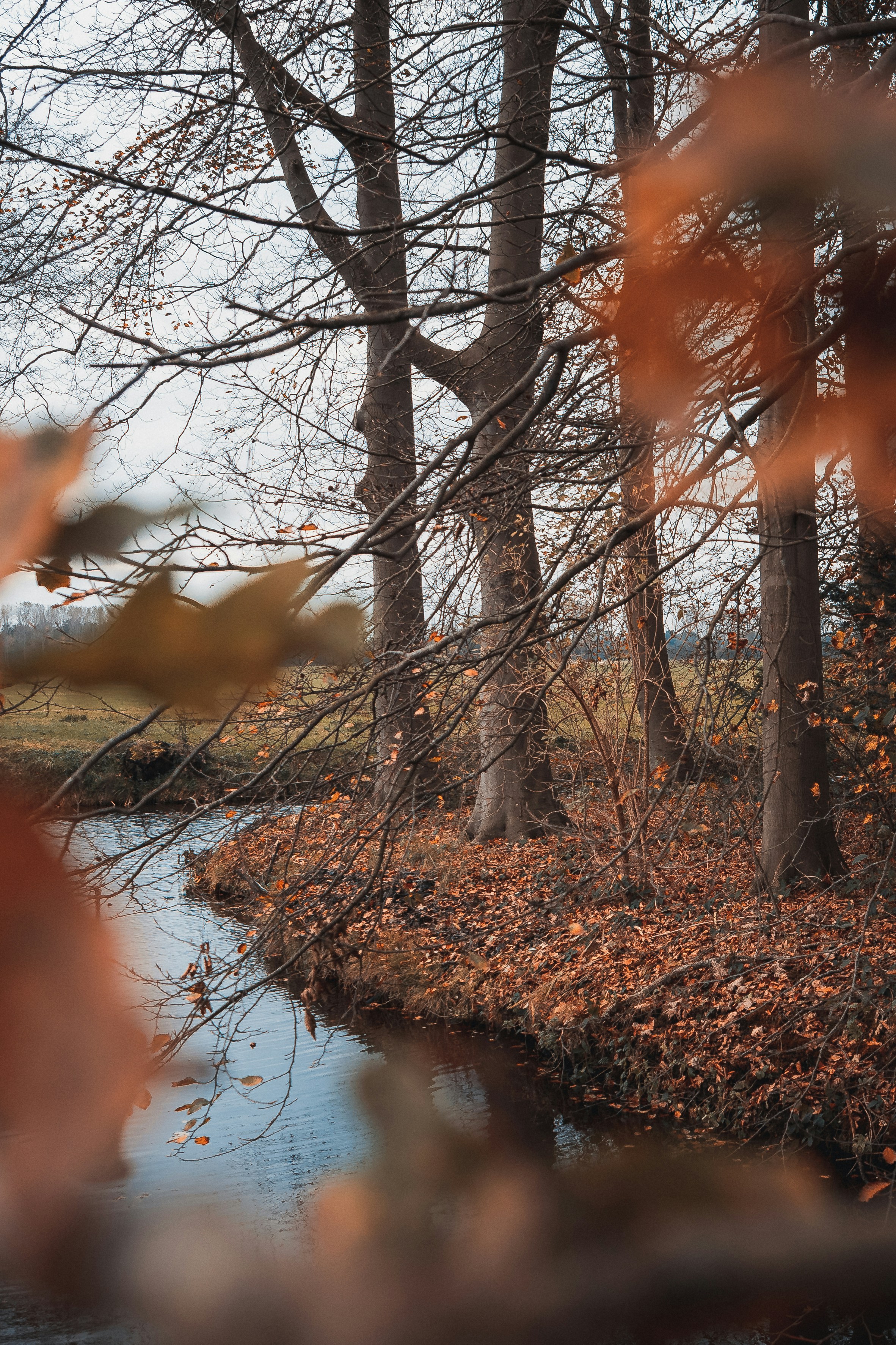 Photo by chardrizard