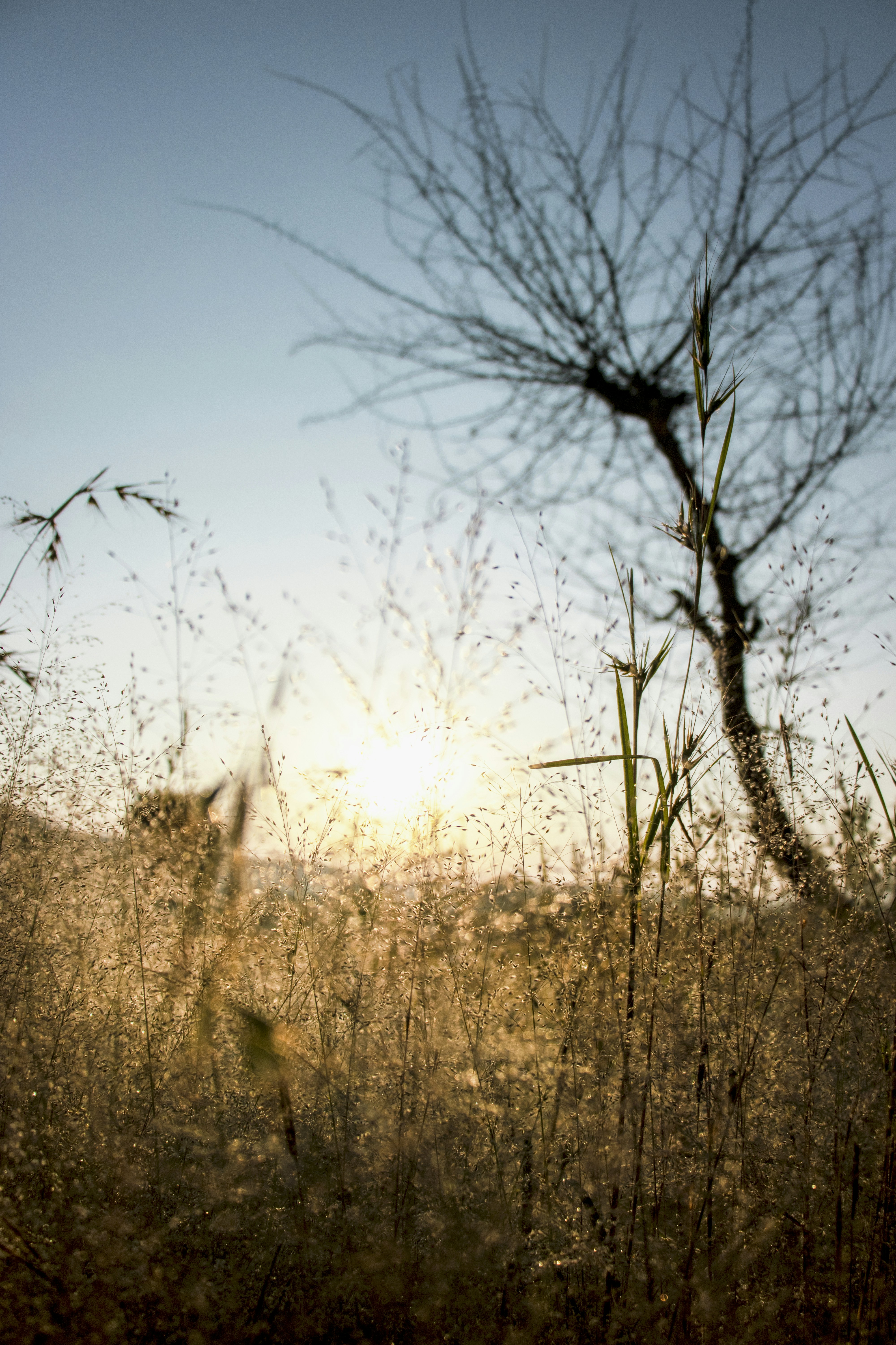 Photo by anway_pawar