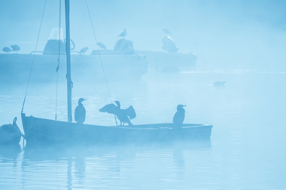 silhouette of people on boat during daytime