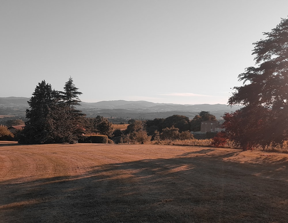 brown field with trees and mountains in the distance